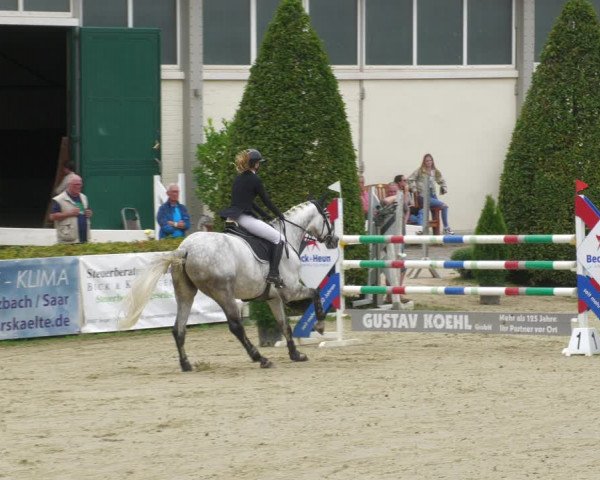 Reitturnier St.Wendel, Gestüt Welvert 2022