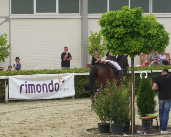 Reitturnier St.Wendel, Gestüt Welvert 2022
