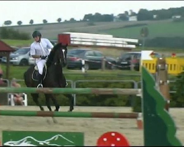 jumper Unforgiving (KWPN (Royal Dutch Sporthorse), 2001, from Heartbreaker)
