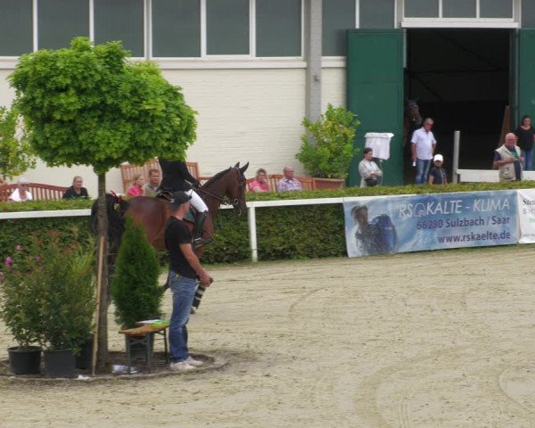 Reitturnier St.Wendel, Gestüt Welvert 2022