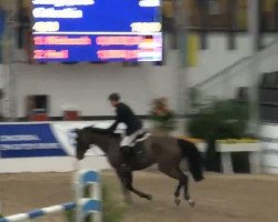 broodmare Columbia 20 (Hanoverian, 2005, from Converter I)