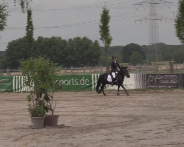 Reitturnier Dortmund-Asseln 2022