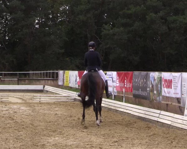 Reitturnier Ostbevern 2022