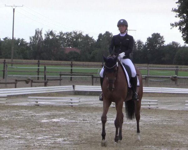 Reitturnier Ostbevern 2022