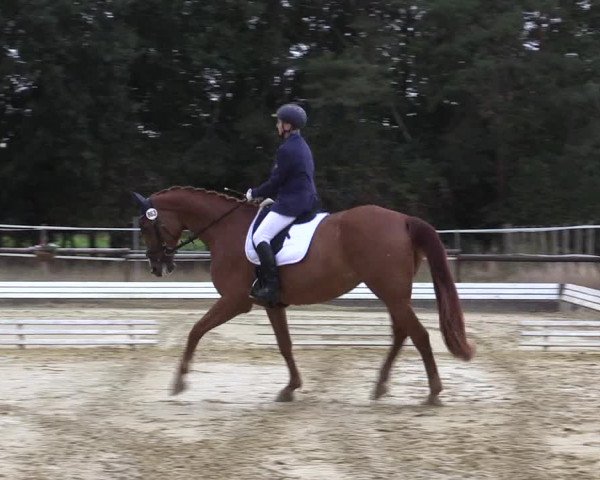 Reitturnier Ostbevern 2022