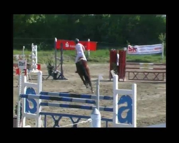 jumper Deja vue 36 (Oldenburg, 2004, from Drakdream)