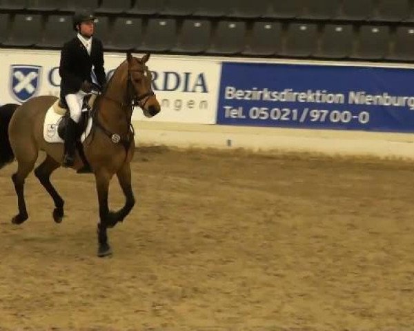 jumper Lorina M (Oldenburg, 2002, from Lancado)