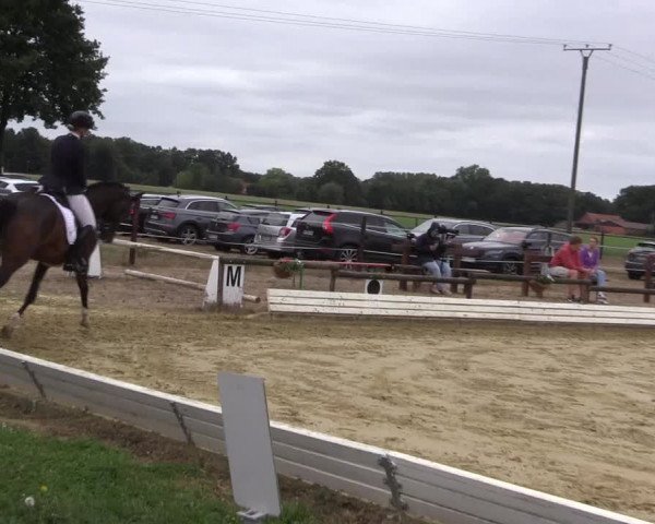 Reitturnier Ostbevern 2022