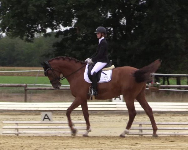 Reitturnier Ostbevern 2022
