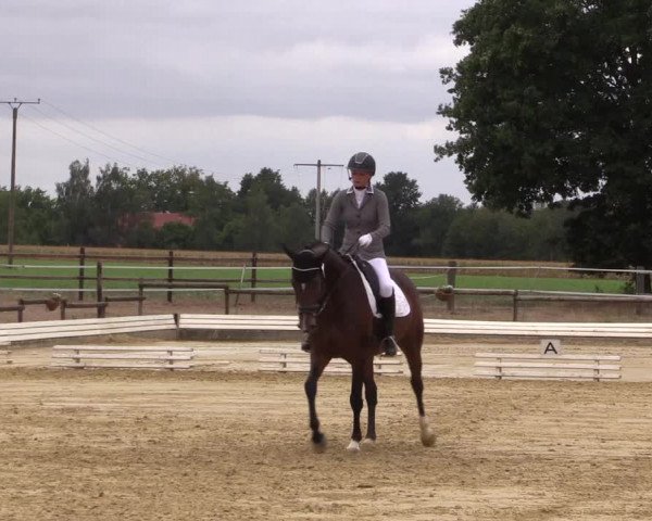 Reitturnier Ostbevern 2022