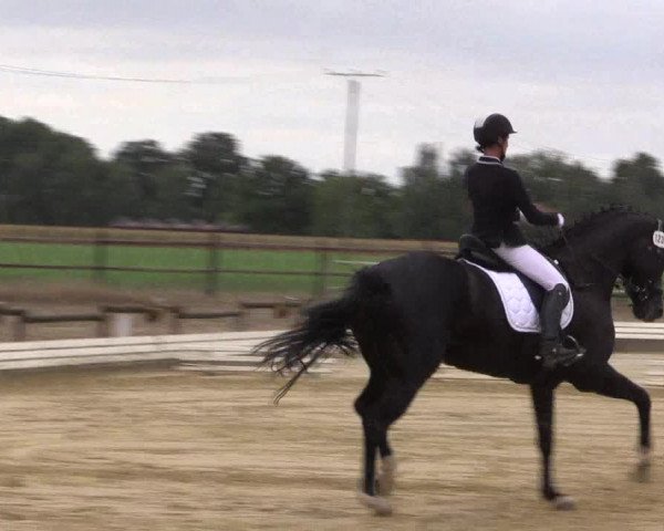 Reitturnier Ostbevern 2022