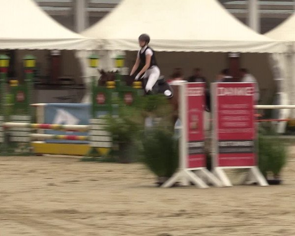 Reitturnier Werne 2022