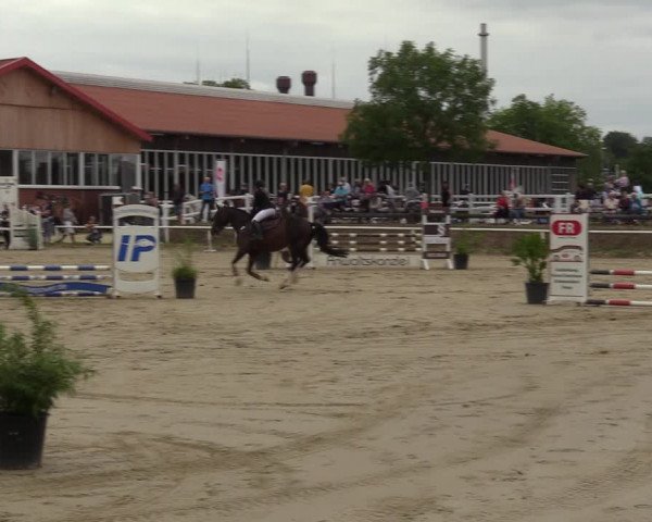 Reitturnier Werne 2022
