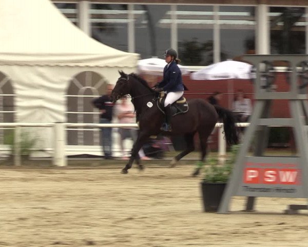 Reitturnier Werne 2022
