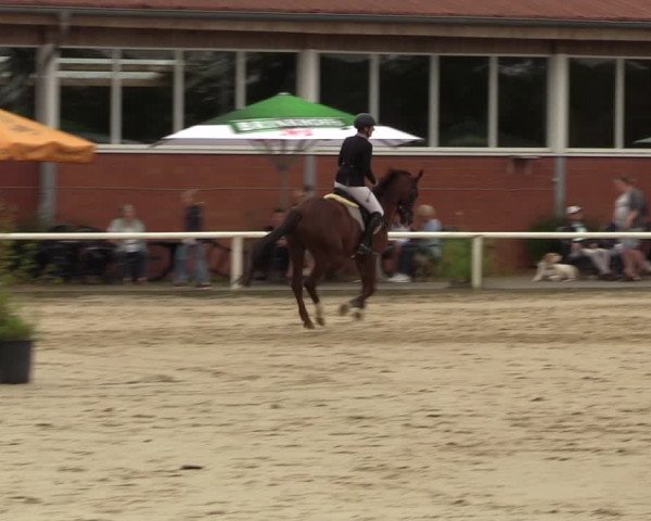 Reitturnier Werne 2022
