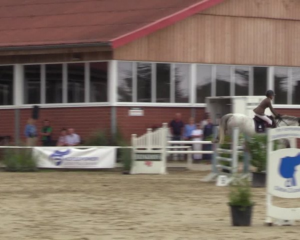 Reitturnier Werne 2022