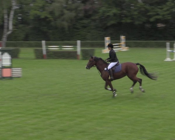 Reitturnier Westeregeln 2021