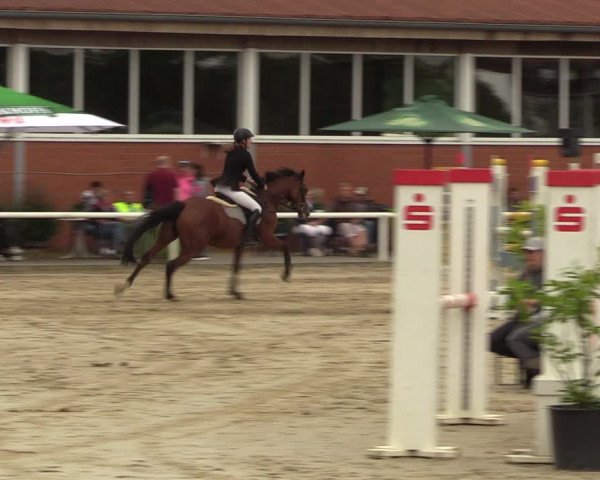 Reitturnier Werne 2022