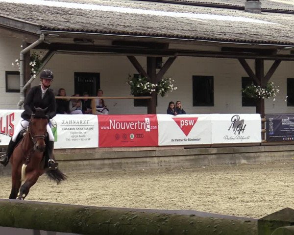 Reitturnier Solingen 2022