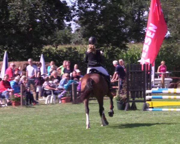 Reitturnier Löwenstedt 2022