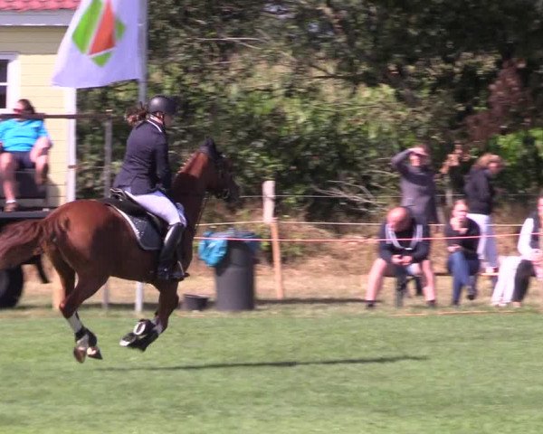 Reitturnier Löwenstedt 2022