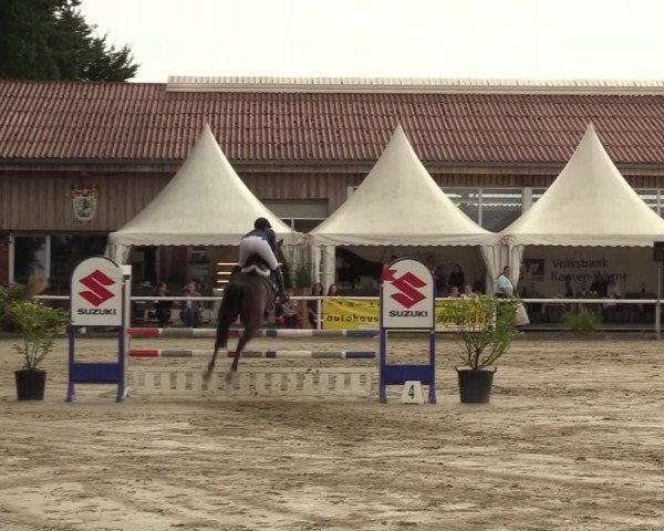 Reitturnier Werne 2022