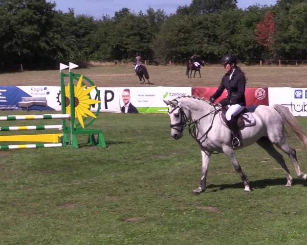 Reitturnier Löwenstedt 2022