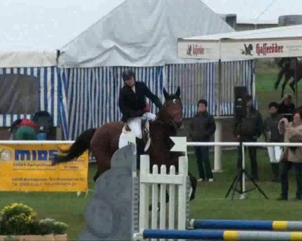 broodmare Scudera (German Sport Horse, 2004, from Souveraen)