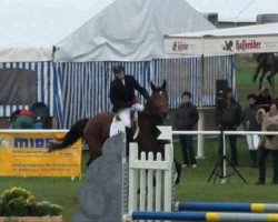 Fattrice Scudera (Cavallo Sportivo Tedesco, 2004, di Souveraen)