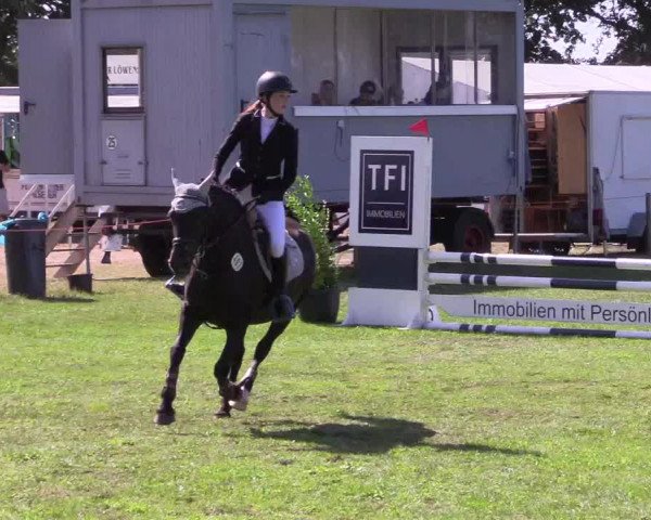 Reitturnier Löwenstedt 2022