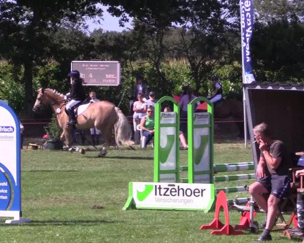 Reitturnier Löwenstedt 2022