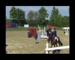 jumper Clevergirl (Württemberger, 2006, from Cleverboy)