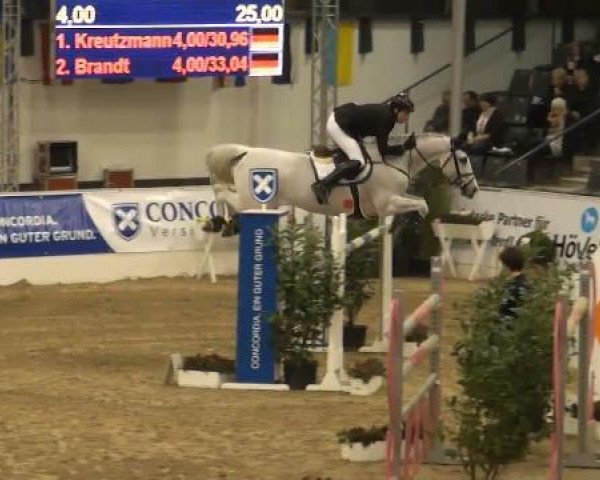 Springpferd Muscaran Z (Zangersheide Reitpferd, 1997, von Mr Blue)