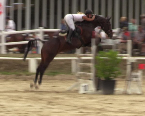 Reitturnier Werne 2022