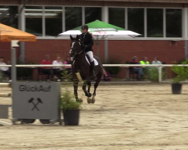 Reitturnier Werne 2022