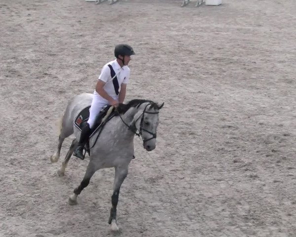 Reitturnier Hüntwangen 2022