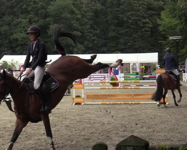 Reitturnier Solingen 2022
