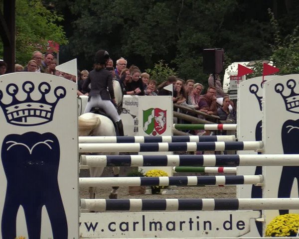 Reitturnier Solingen 2022