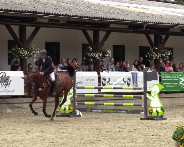 Reitturnier Solingen 2022