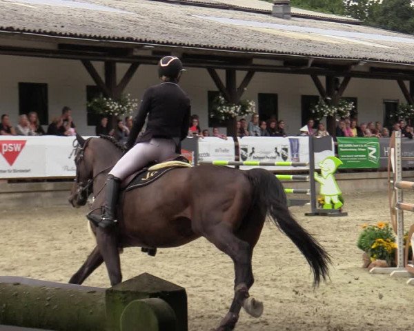 Reitturnier Solingen 2022