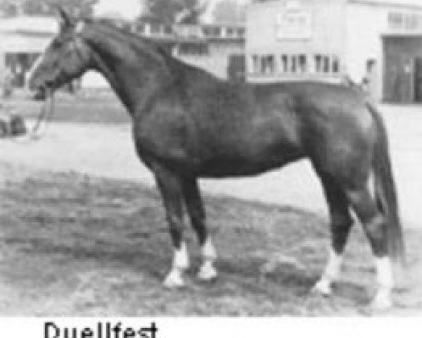 broodmare Duellfest (Hanoverian, 1954, from Duellant 3586)