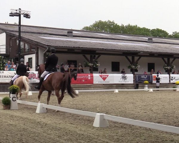Reitturnier Solingen 2022