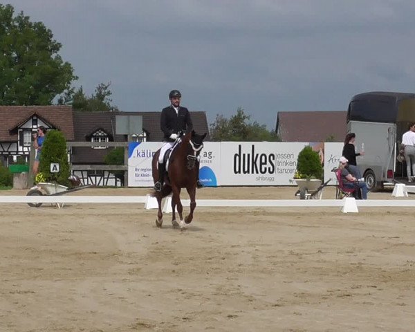 Reitturnier Wädenswil 2022