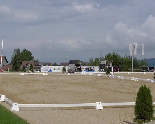 Reitturnier Wädenswil 2022