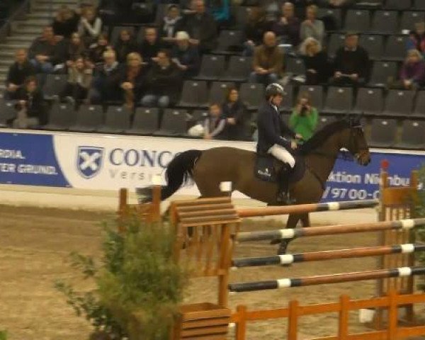 jumper Elba 31 (Oldenburg, 2001, from Contender)