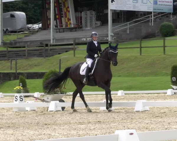 Reitturnier Wädenswil 2022