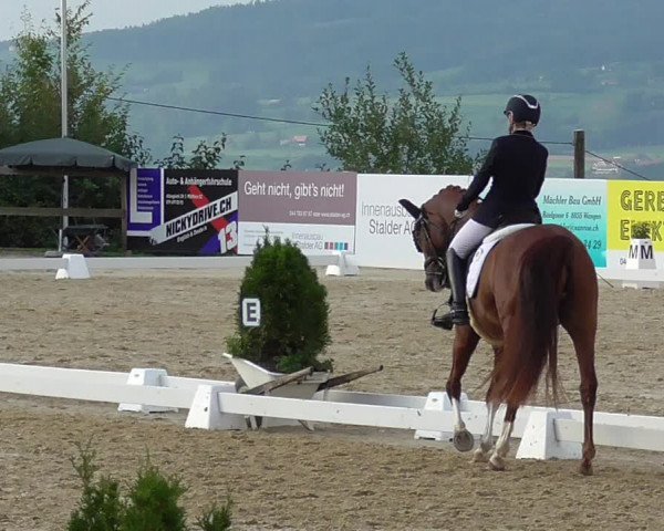 Reitturnier Wädenswil 2022