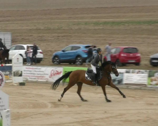 Reitturnier Duderstadt 2022