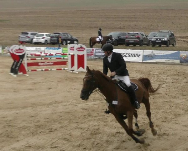 Reitturnier Duderstadt 2022