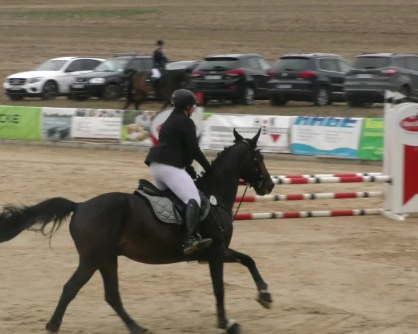 Reitturnier Duderstadt 2022